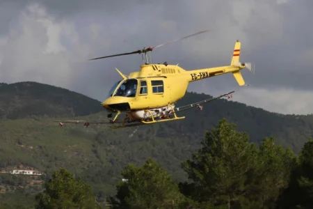 Ibiza and Formentera to Spray Pine Forests Against Caterpillars