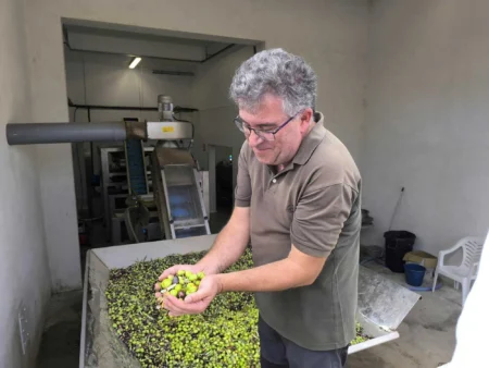 Formentera Opens Its First Olive Oil Mill for Local Producers