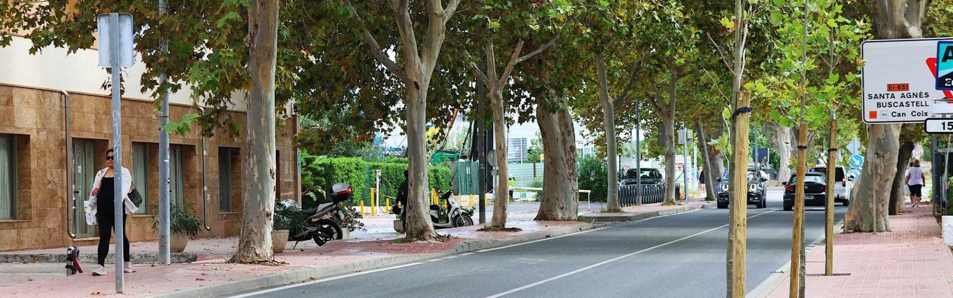 Sant Antoni plants six new poplar trees. / Sant Antoni Town Council