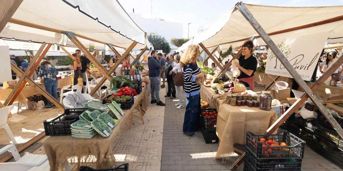 Ibiza farmers harvesting local produce amid calls for hotels to comply with Balearic food sourcing requirements.